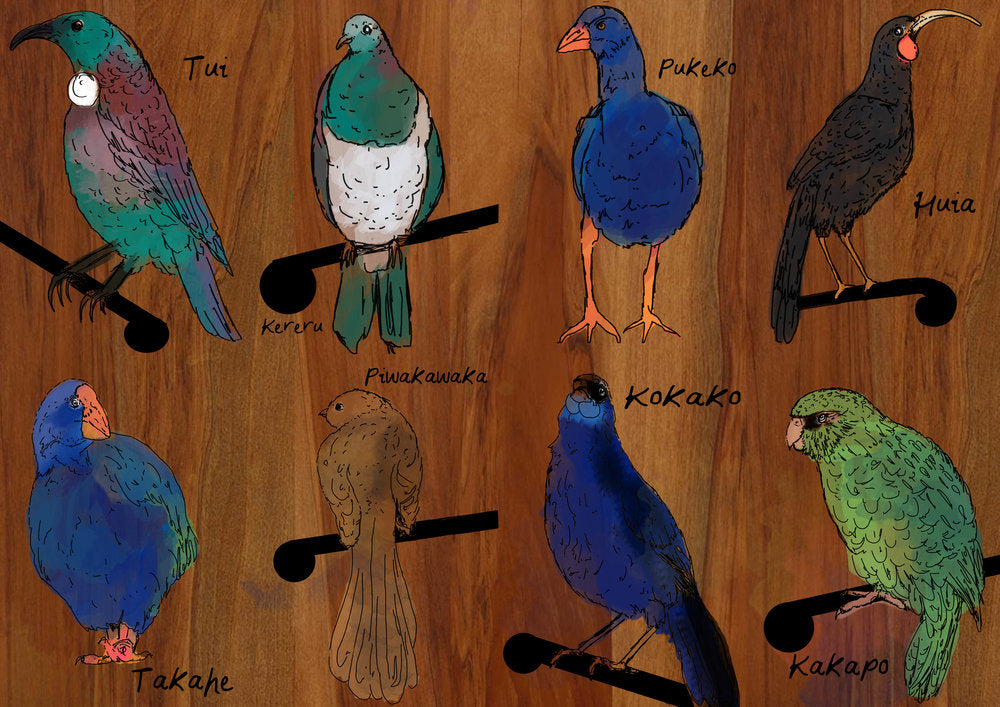 Nga manu o Aotearoa - The birds of New Zealand